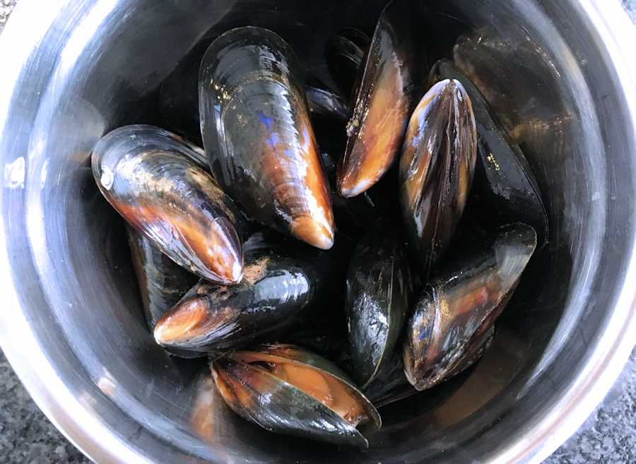 Curried Mussels Recipe Cuisine Fiend